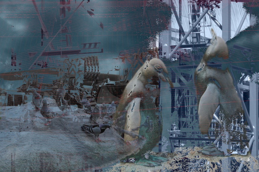 ...and The Birds Still Sing