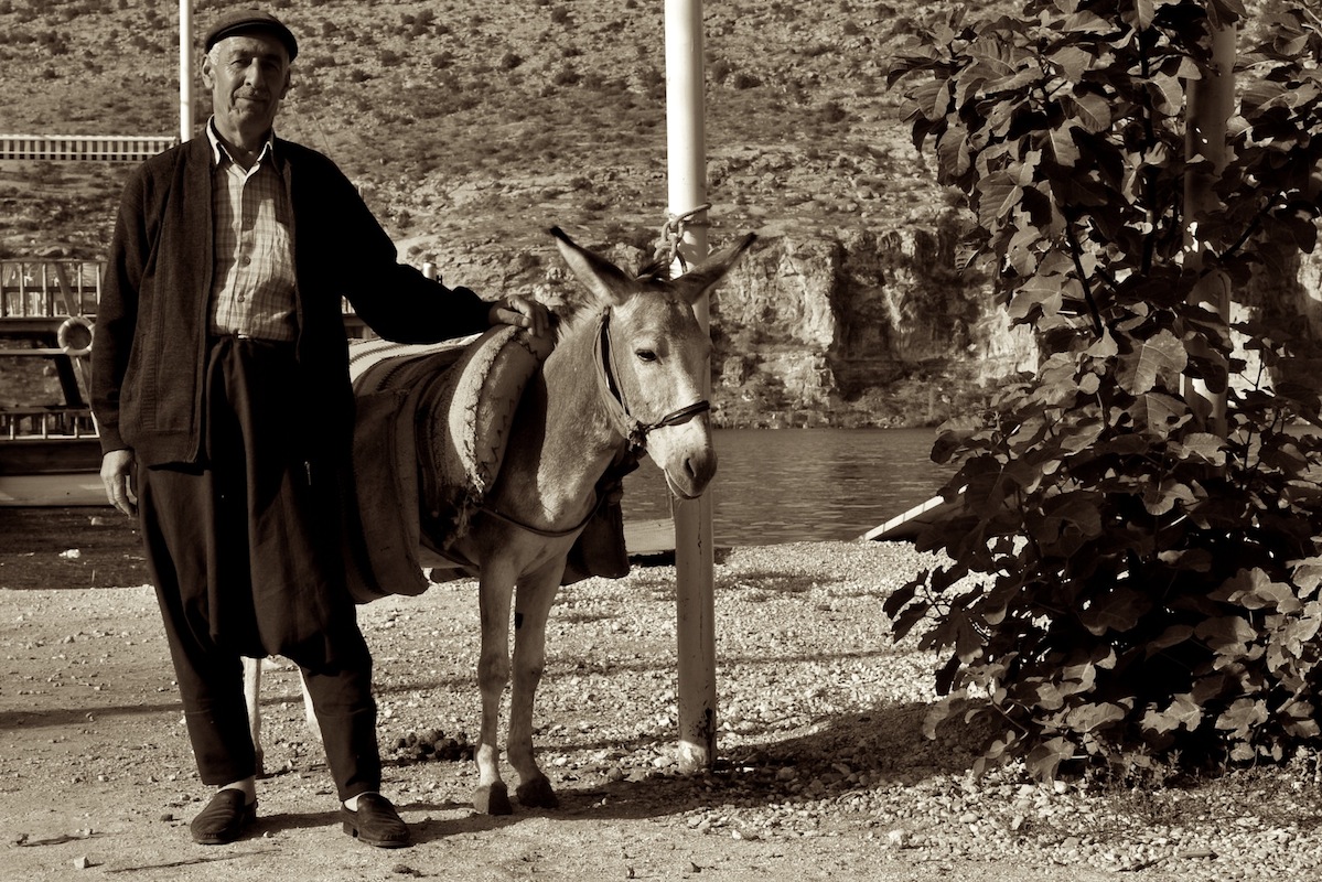 Man With Donkey