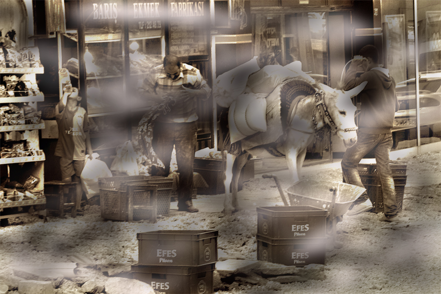 Street Scene With A Donkey