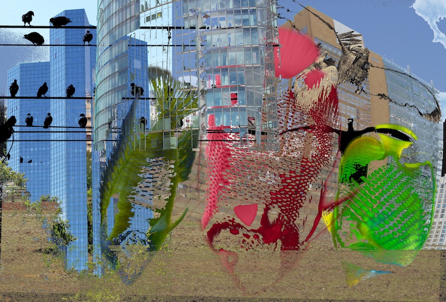 Fish Got To Fall And Birds Got To Fly