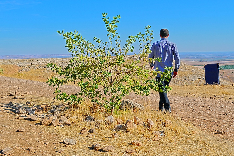 Beat Around The Bush