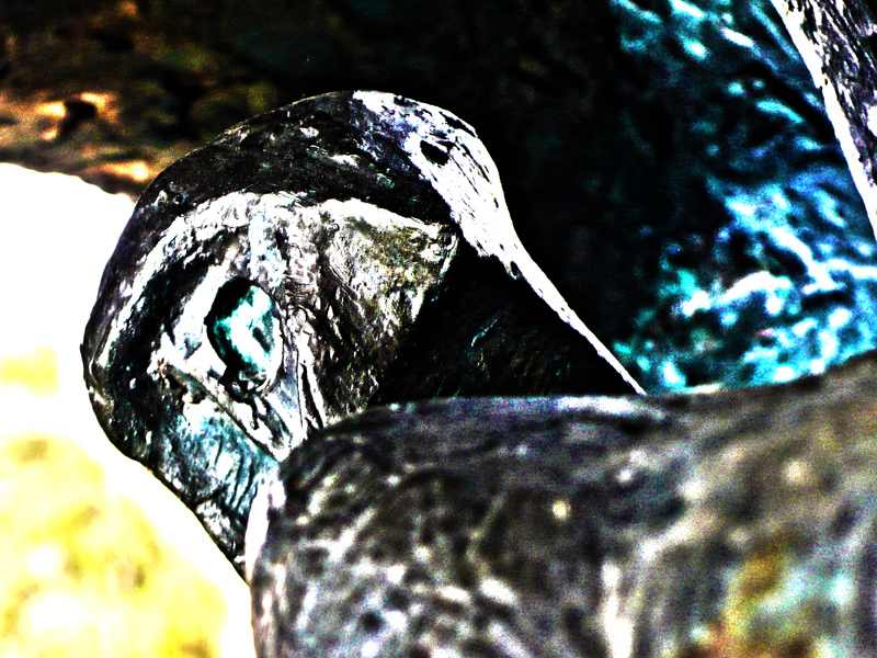 He's Looking At You, Kid