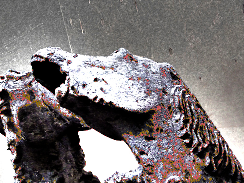 Ride Your Wild&nbsp;Horses