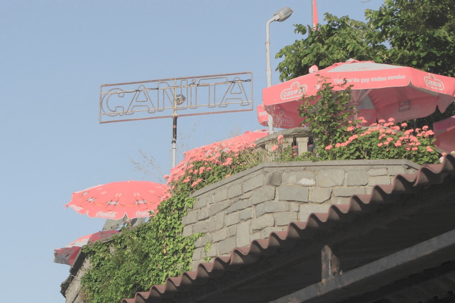 Pale Colours In The&nbsp;Sunlight