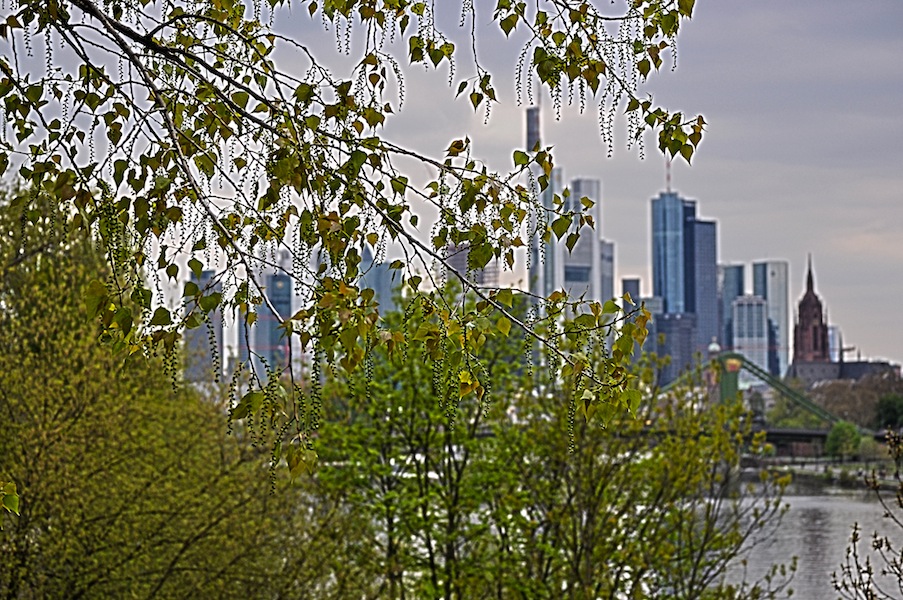 Mainhattan Skyline