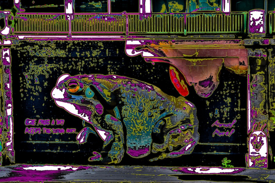 One Frog A Day Keeps The Doctor&nbsp;Away