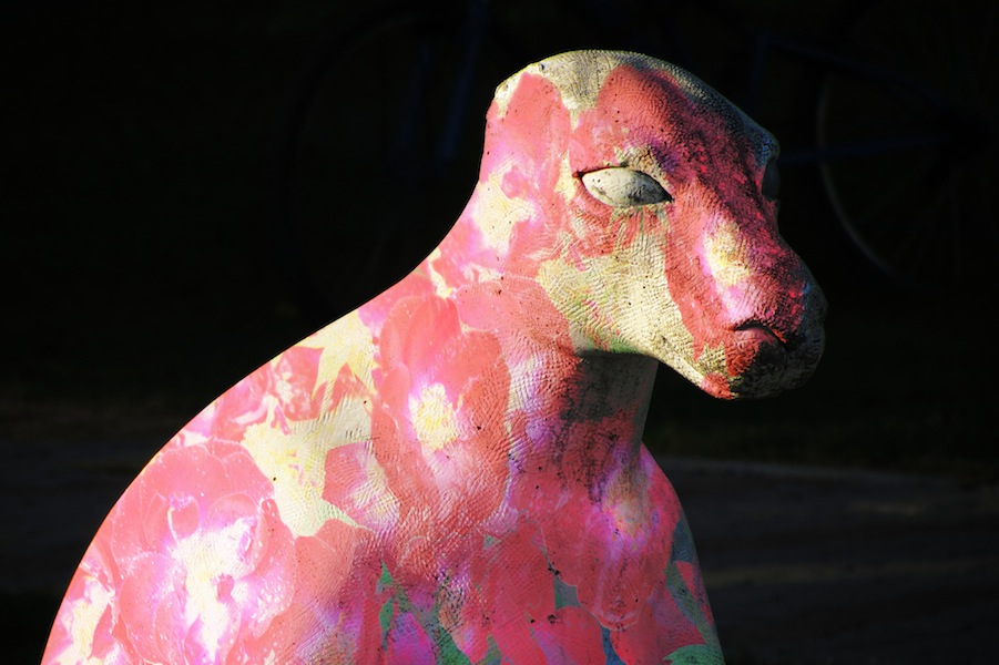 The Story Of The Guy Who Liked Flowers