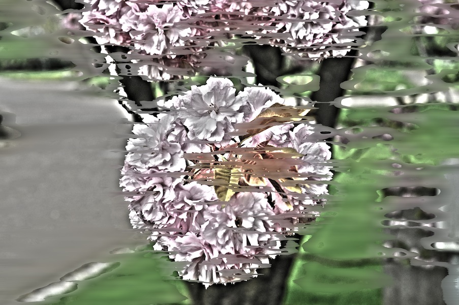 The Colours Of Spring - Somewhat Hidden