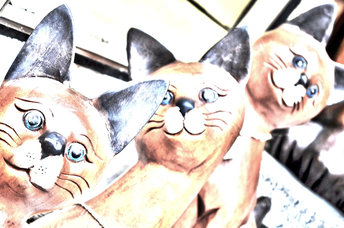 The Cat Is Wild, But Made Of Wood