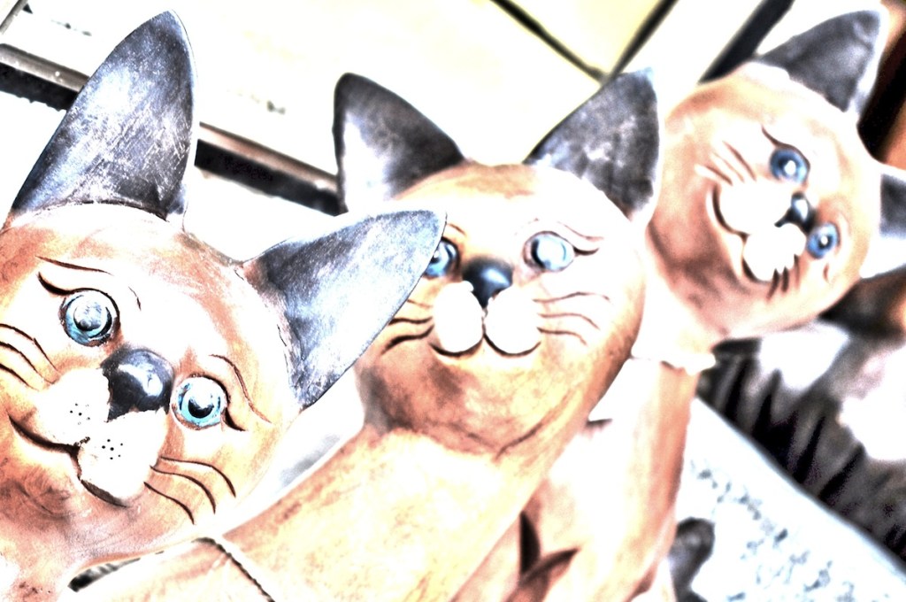 The Cat Is Wild, But Made Of&nbsp;Wood