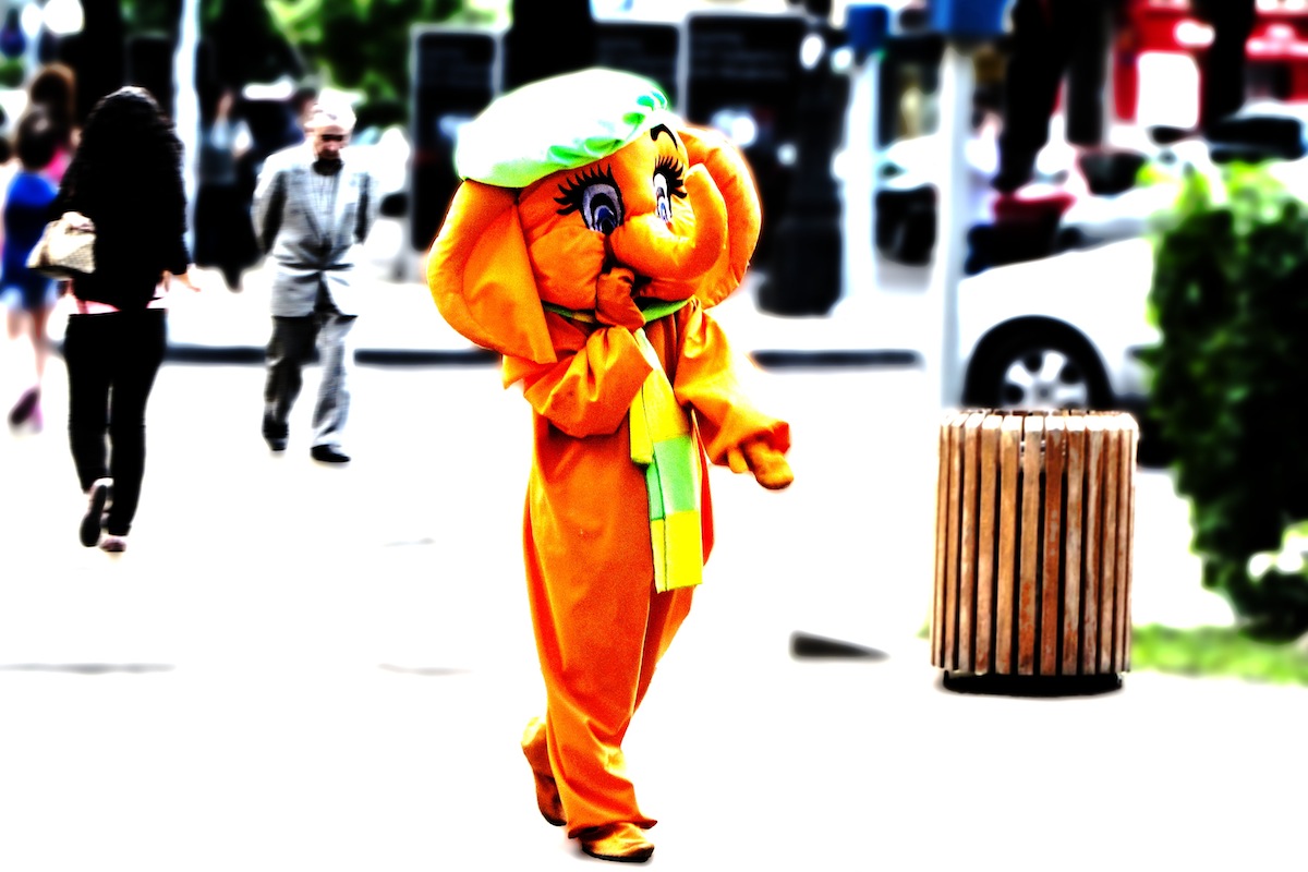 The Colour Of Elephants