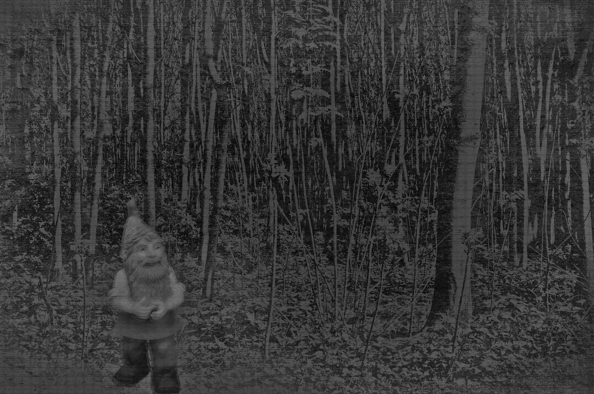 In The Deep Dark Woods