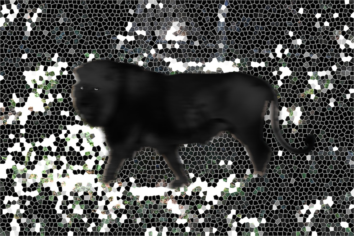 The Strange Case Of The Lion Mosaic