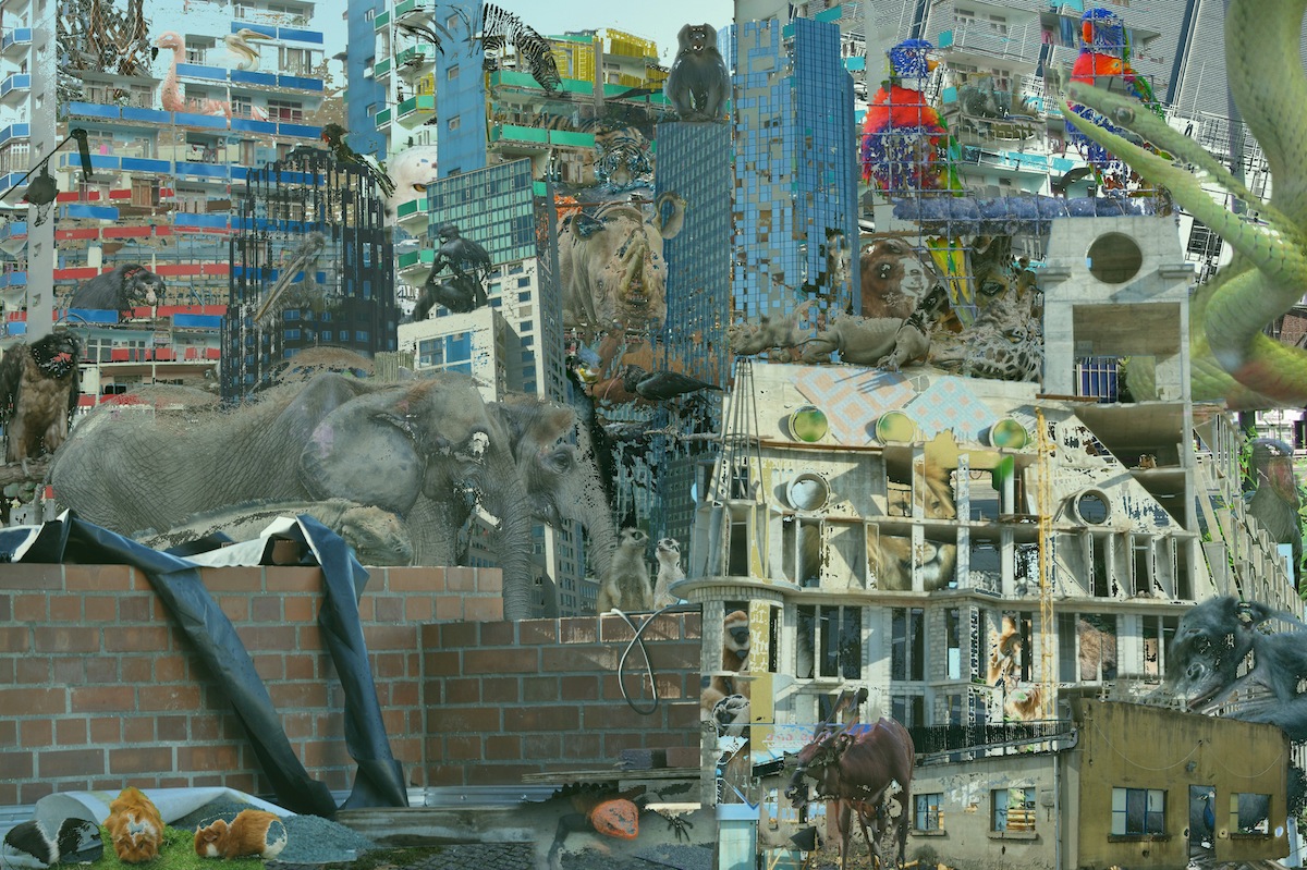 Welcome To The Jungle