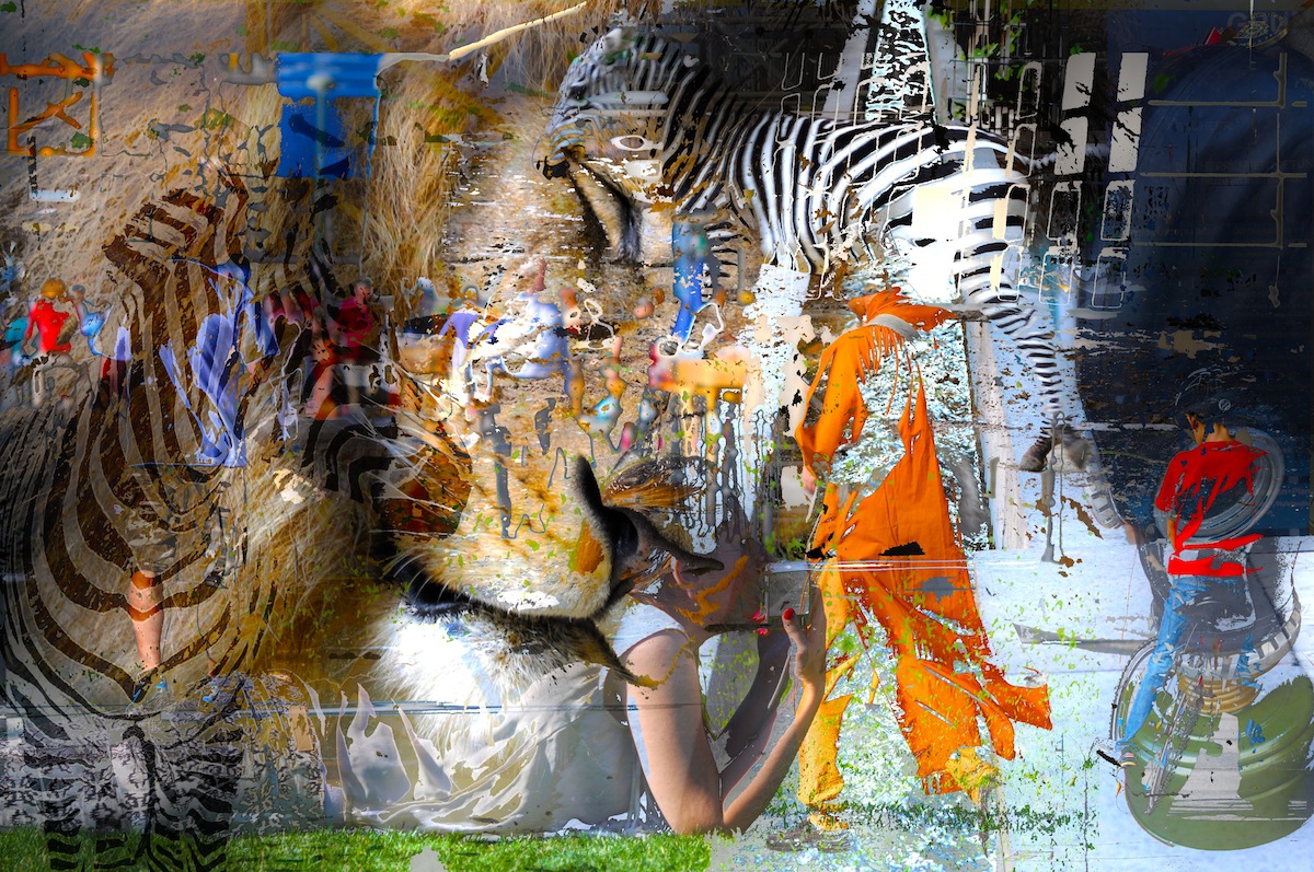 The Lion Sleeps Tonight