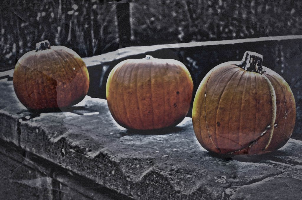 Lining Up The&nbsp;Pumpkins