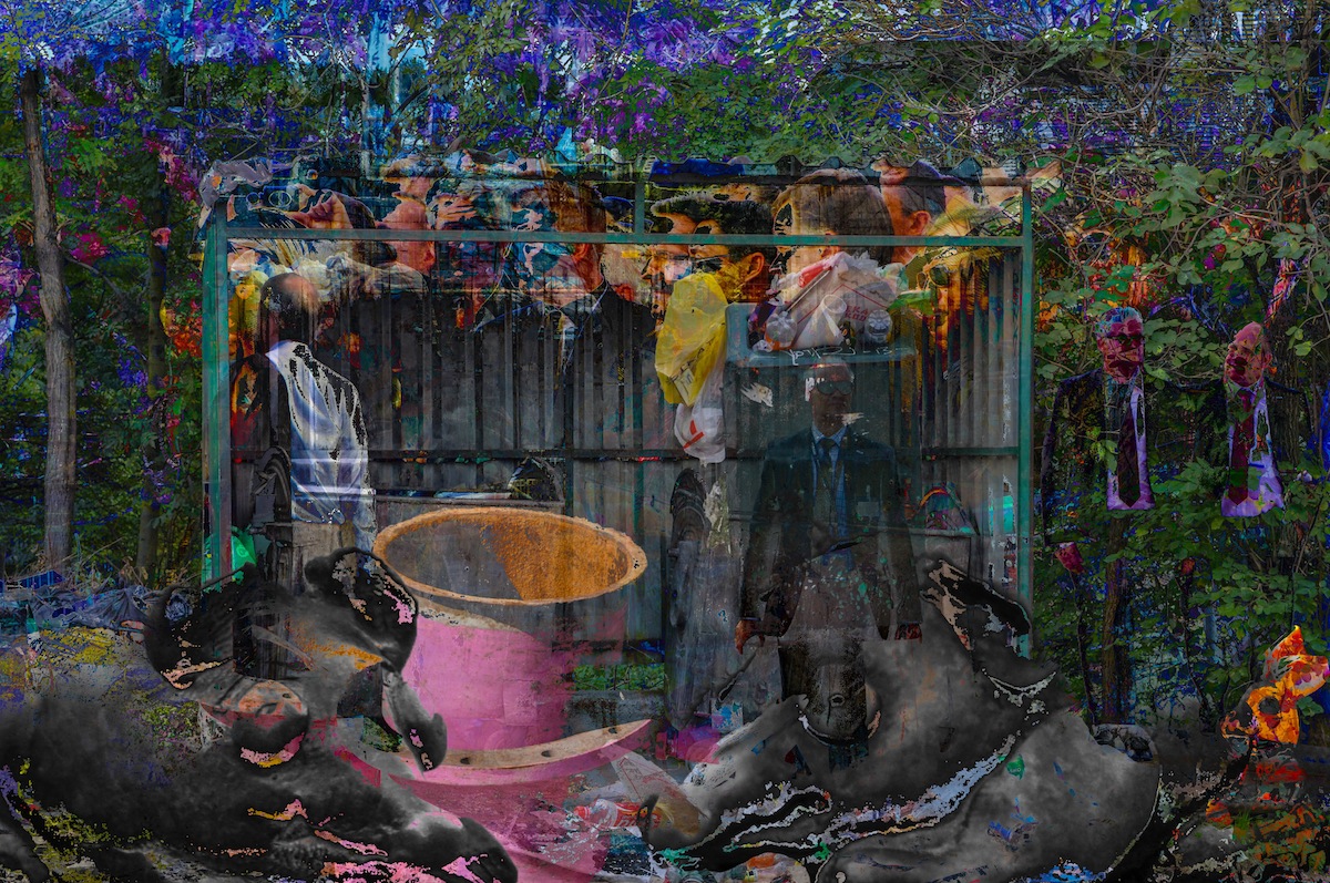 The Rats In The Garbage Of The Western World