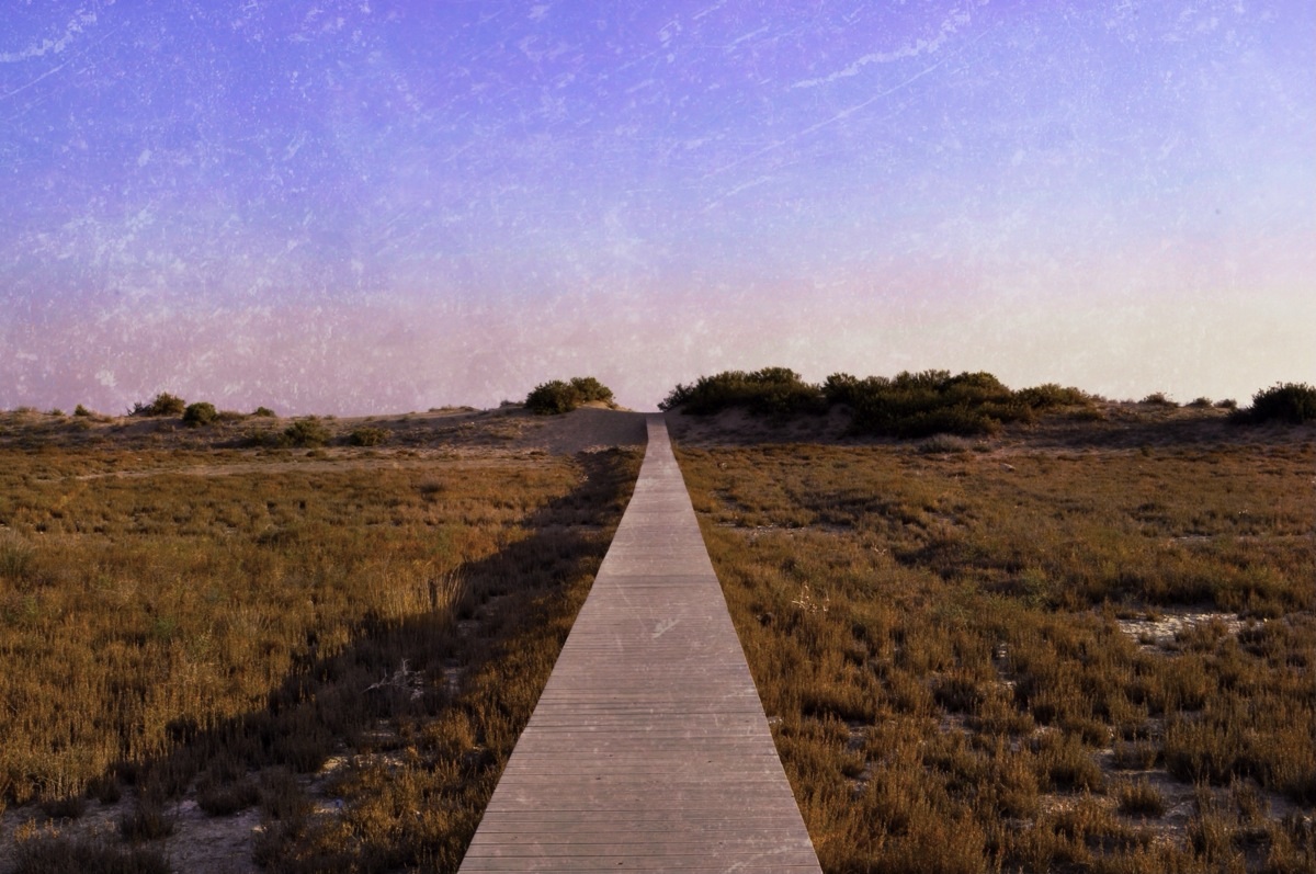 The Way To New Horizons 