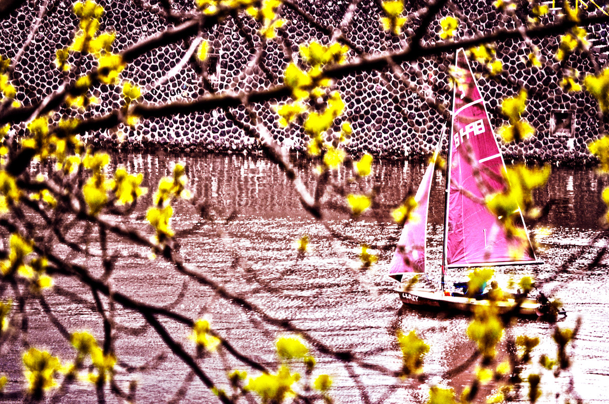 Sailing Down The River