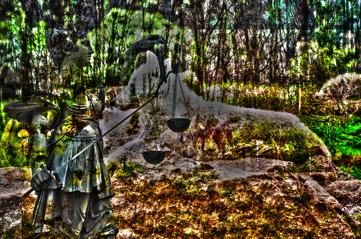 Her Friends The Wolves