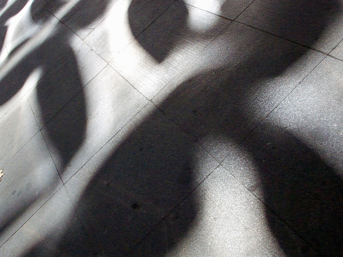 Shadowplay