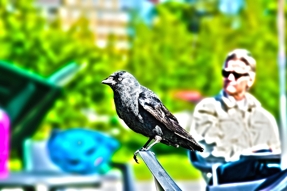 There's A Chair For Everyone