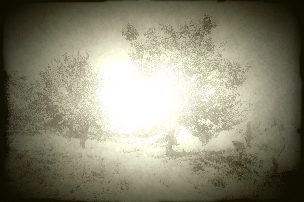 A Blur In The Landscape 