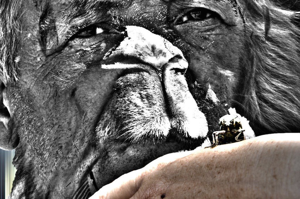 The Hand That&nbsp;Feeds