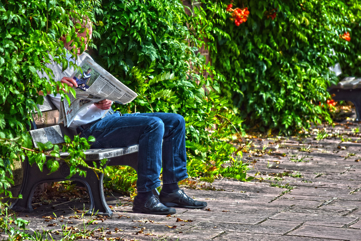 Leafing Through The Paper