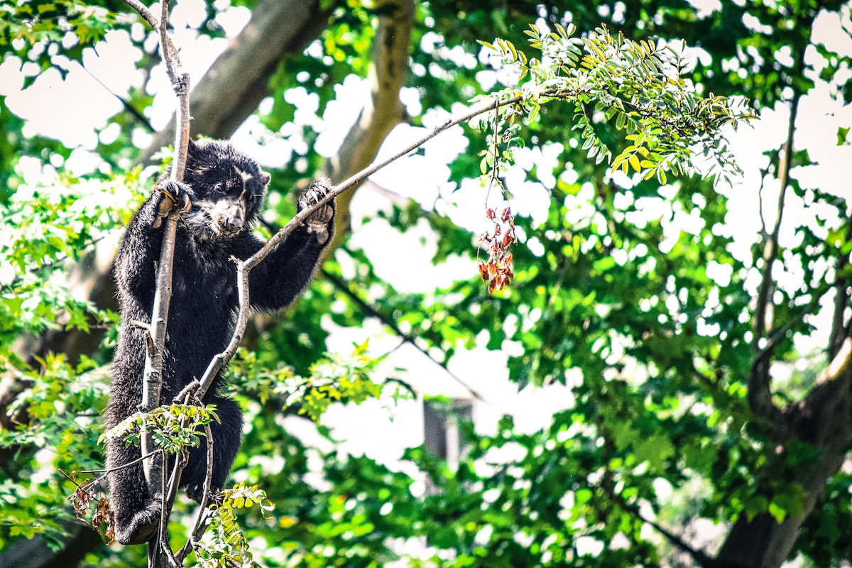 The Long Way To The Top