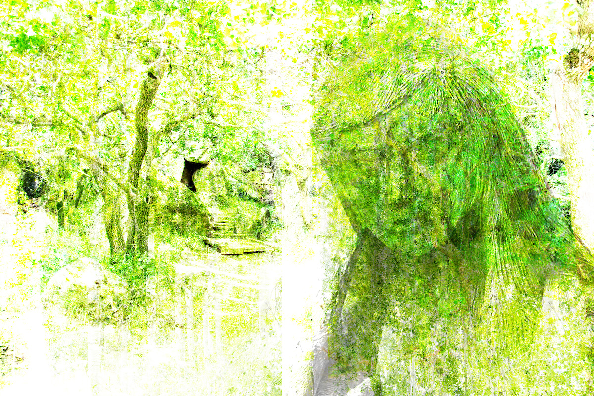 The Woman In The Woods