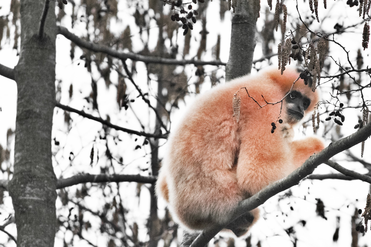 A Cold Weather Front