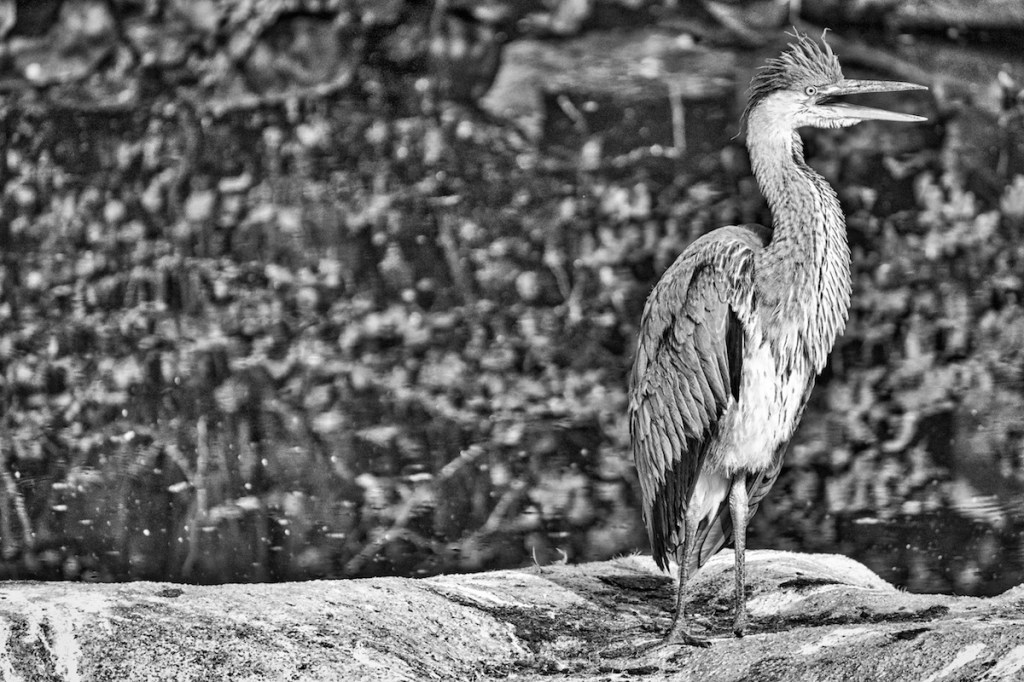 Talking Loud And&nbsp;Clear