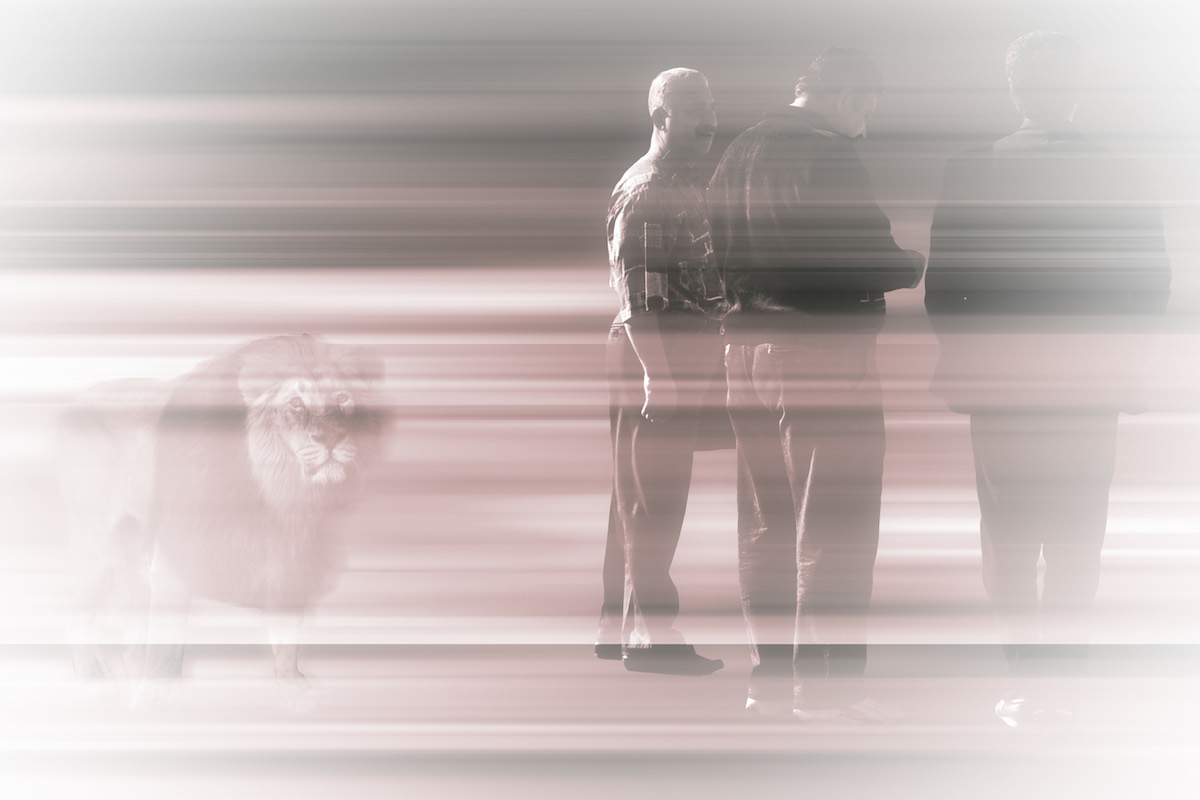 Victims Of Coincidence