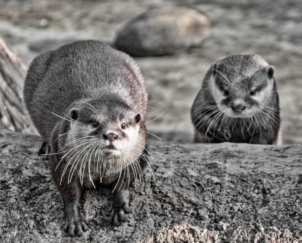 A Responsible Approach