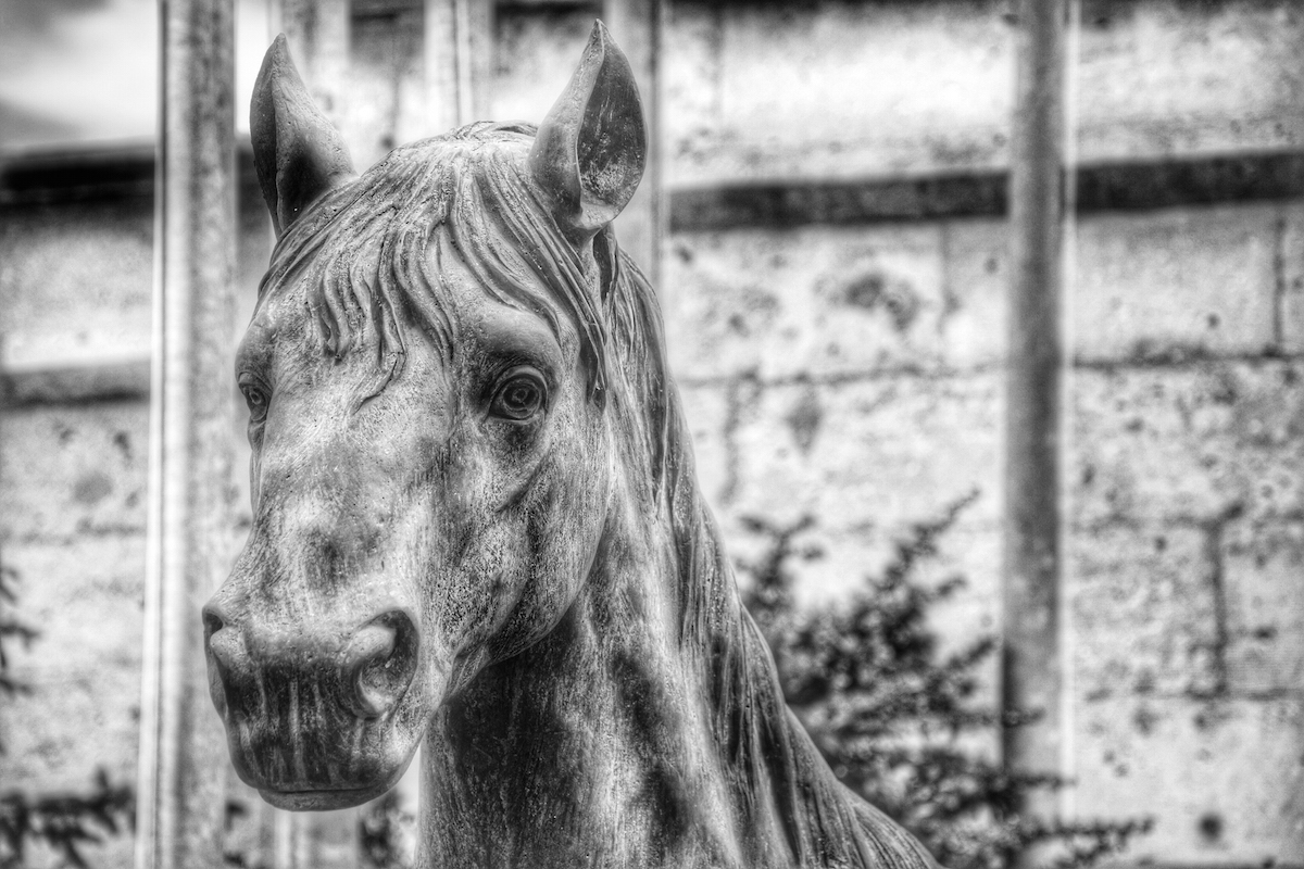 When The Horse Is The Lord