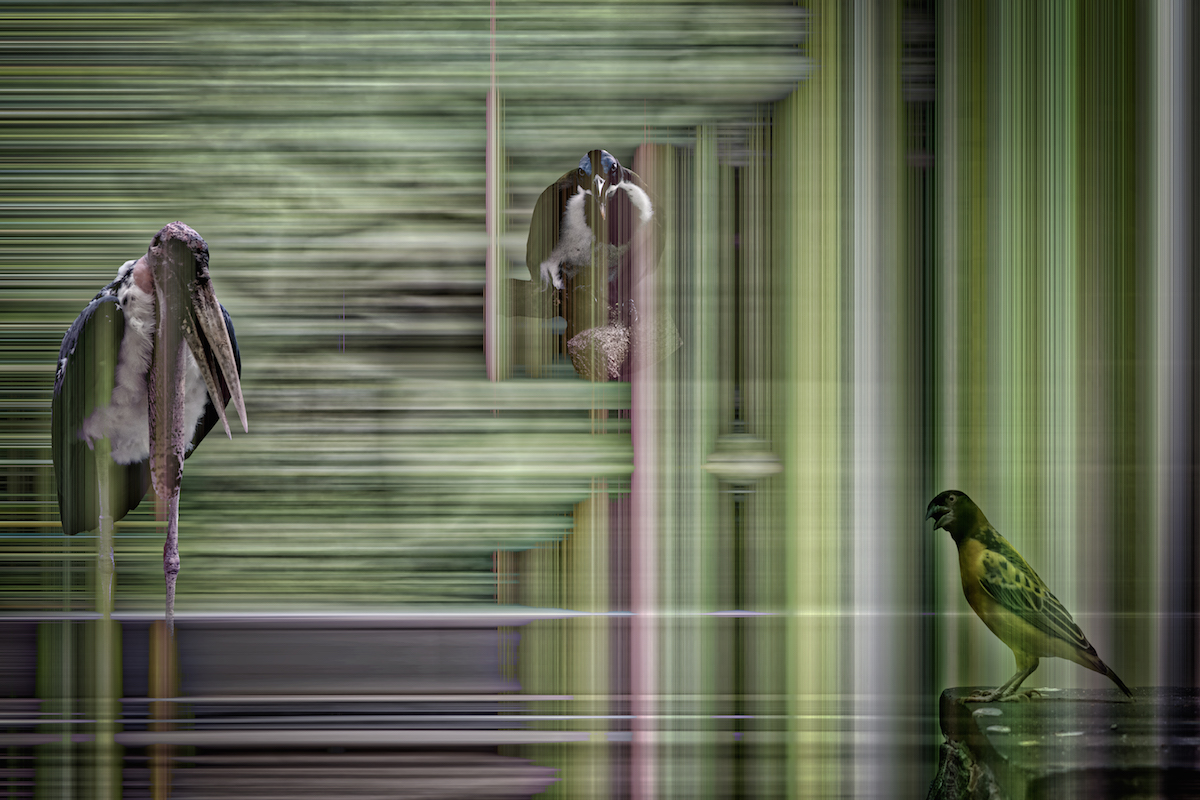 Searching For The Most Beautiful&nbsp;Song