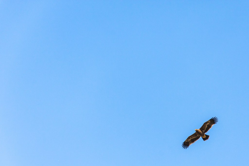 Take To The&nbsp;Sky