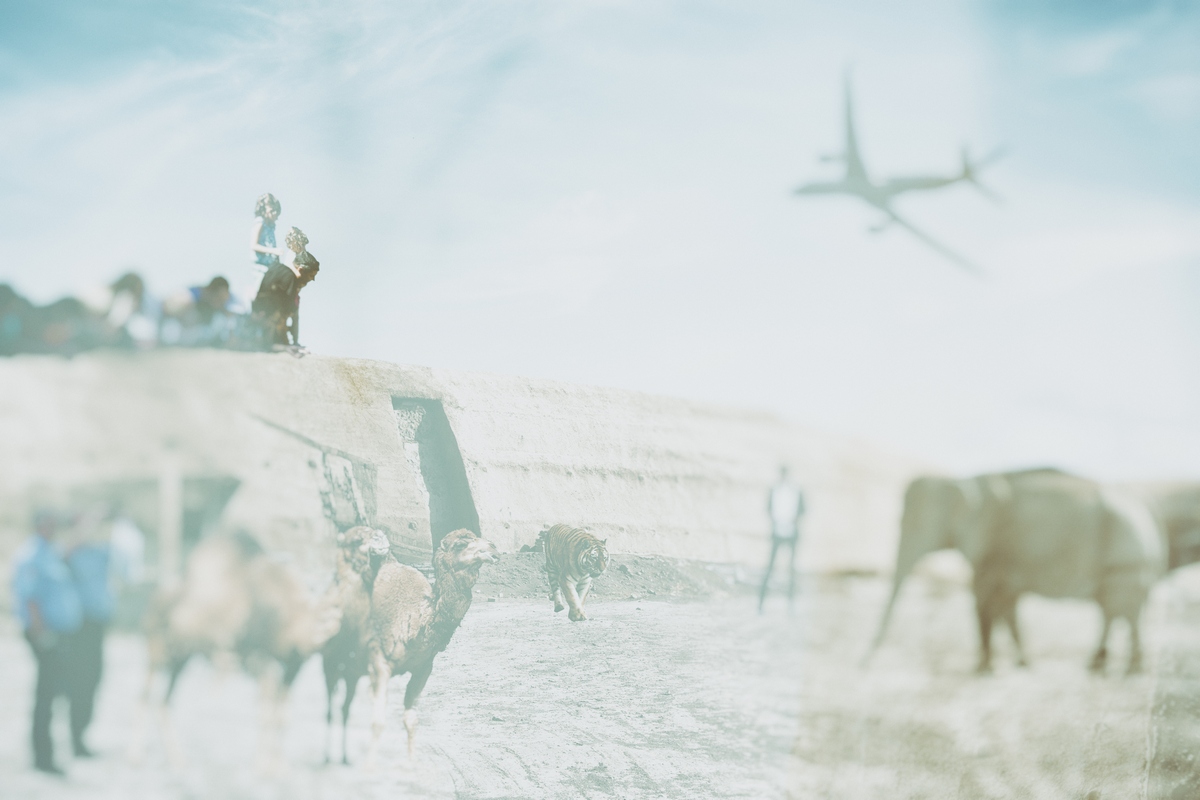 The Society Of Spectacle