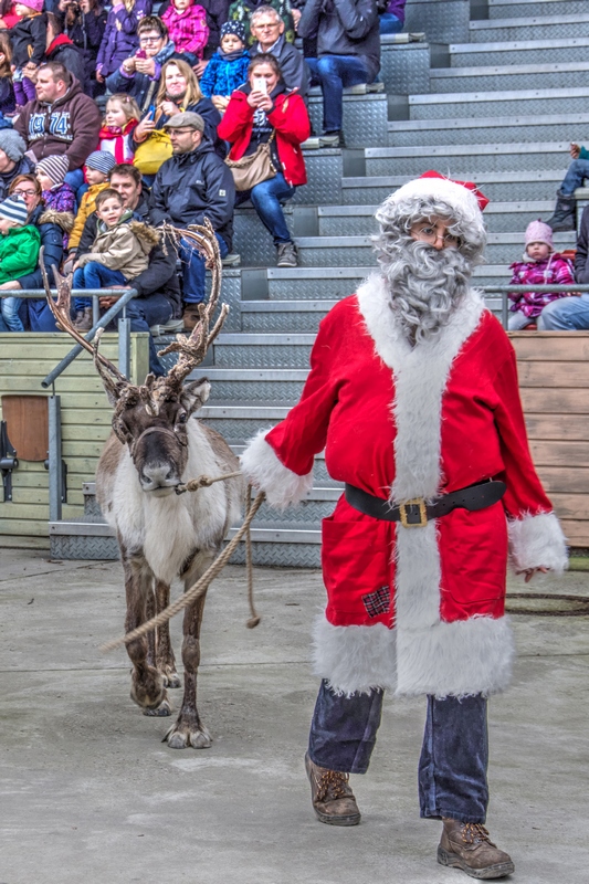 The Incredible Santa&nbsp;Show