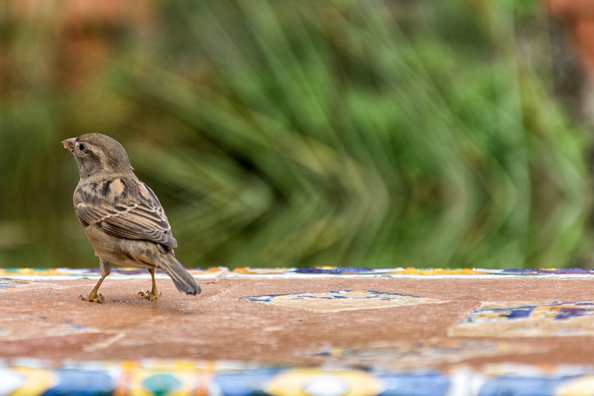 Waiting For The Summer