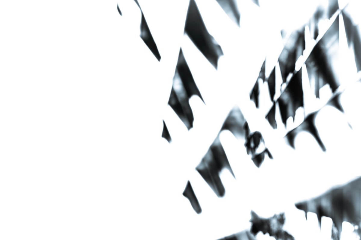 The House Of&nbsp;Tomorrow