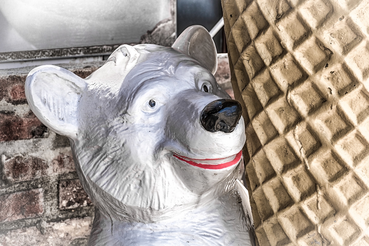 The Smile Of The Polar Bear