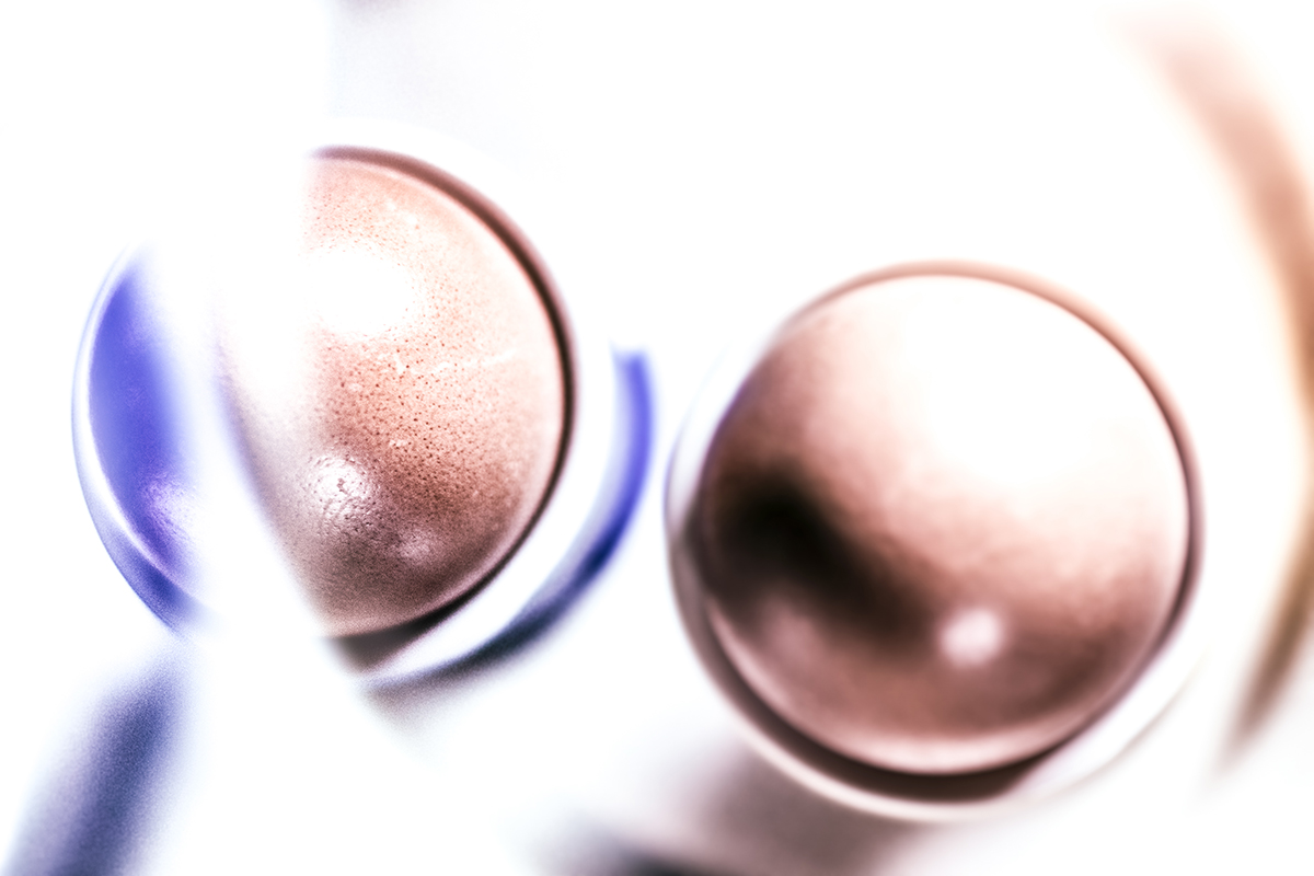 Eggs In Their Shells