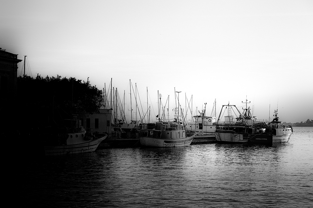 The Shadows Wait To Play