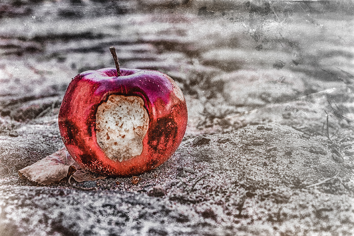The Red Side Of the Apple