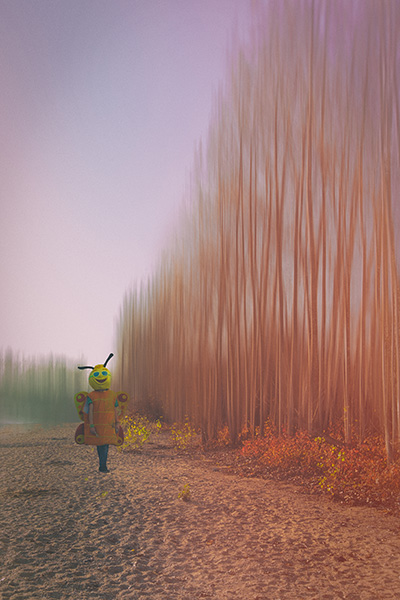 A Bad Season For Bees