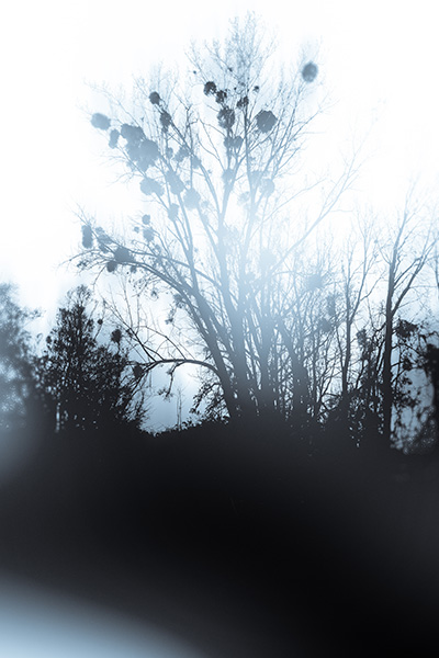 The Cold Light Of The&nbsp;Morning