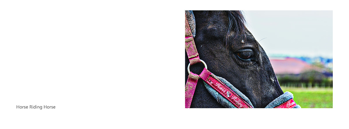 States of Being - Sample Page