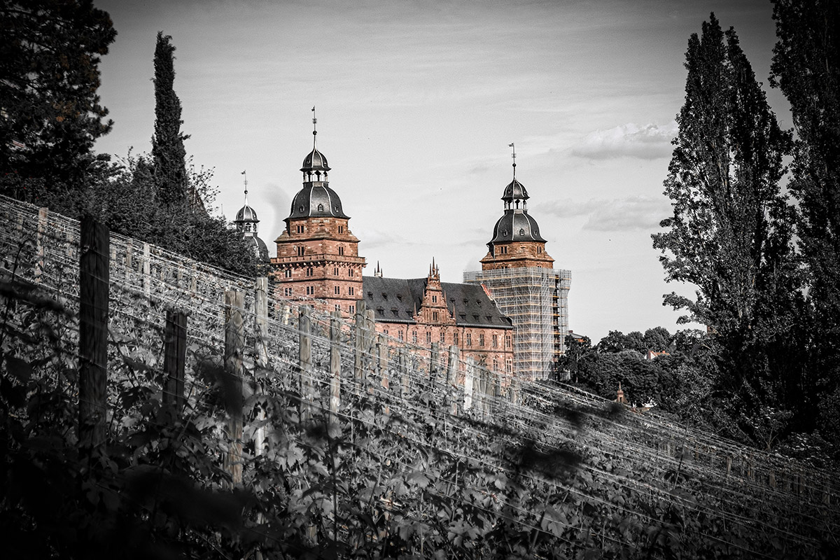 The Renovation Of The Tower